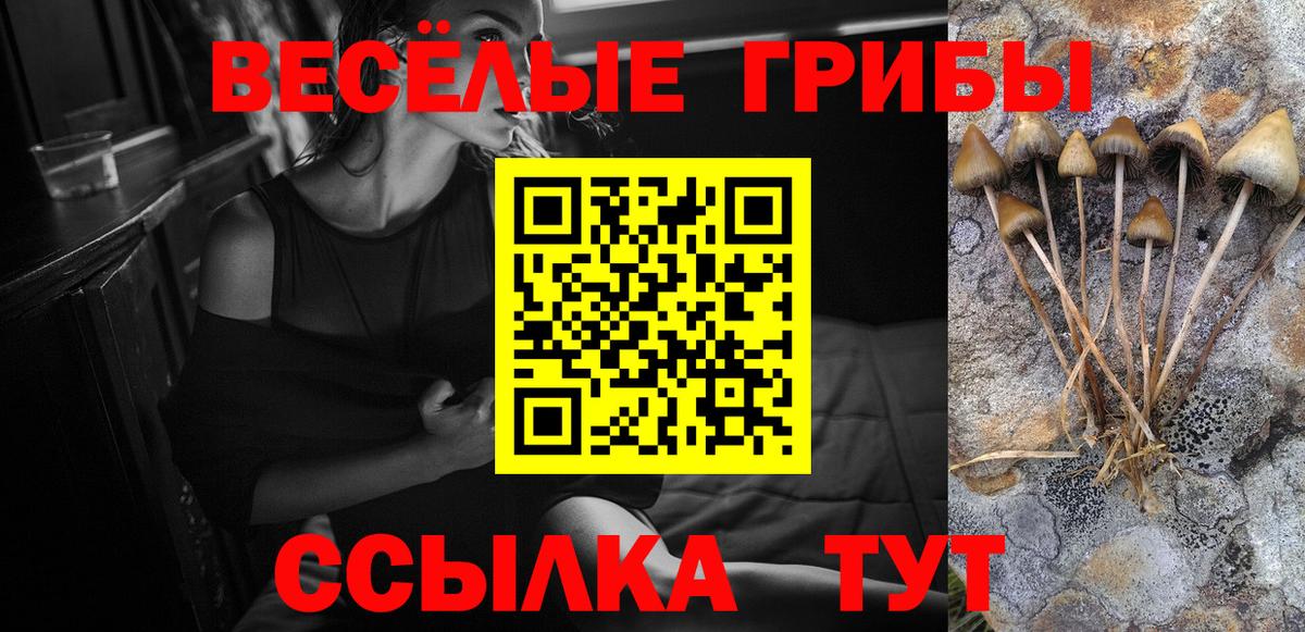 Асино  Псилоцибиновые грибы Psilocybe  Вход с VPN 